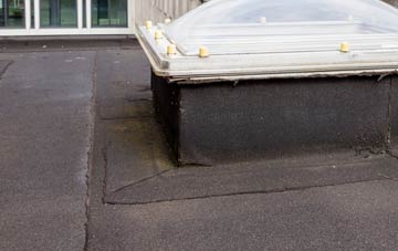 disadvantages of Skinners Green flat roofs